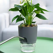 Arlazztup™ Transparent Double-Layer Self-Watering Flower Pot